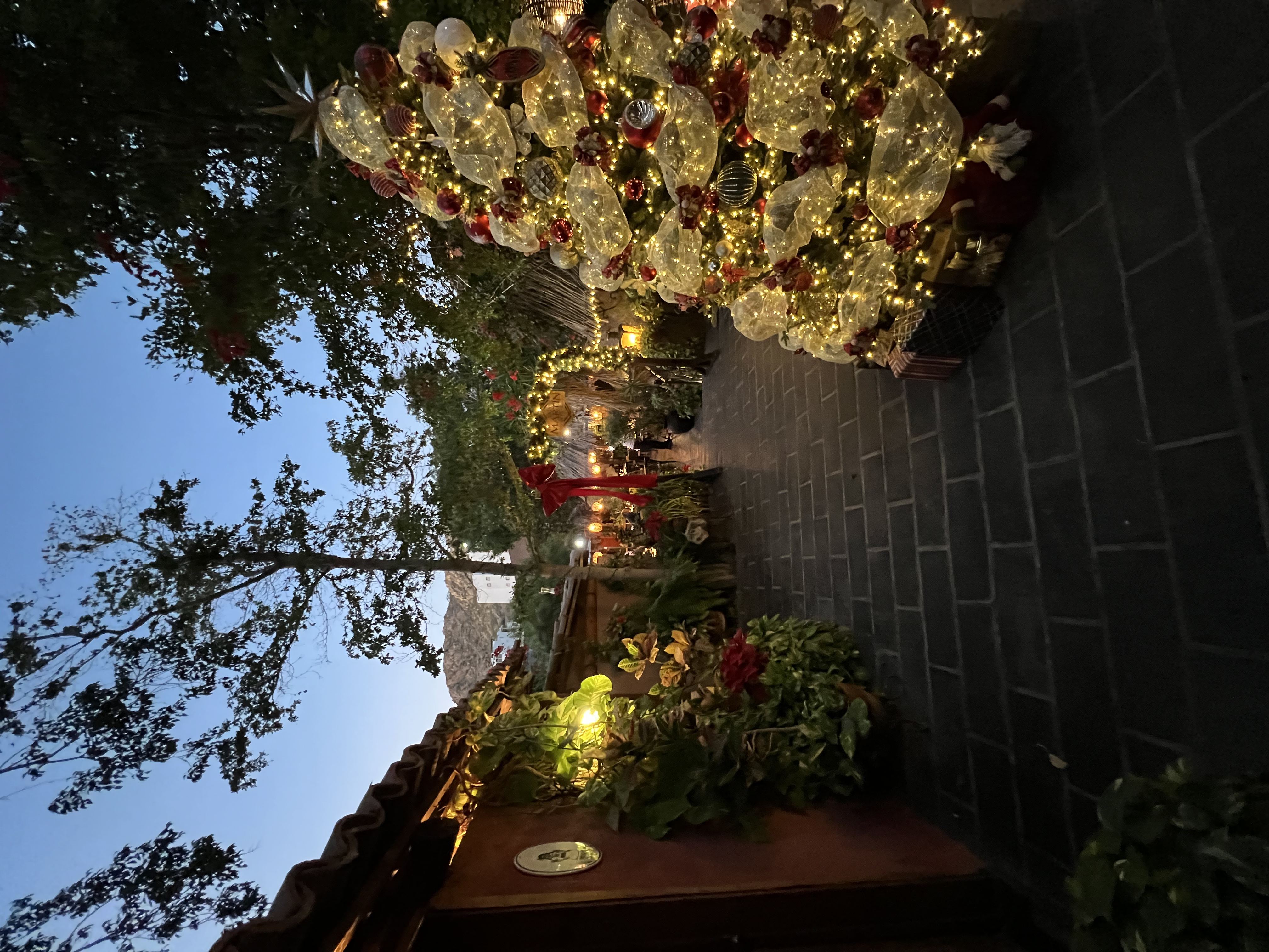 ./2024/13 - Cabo/IMG_4899.jpg